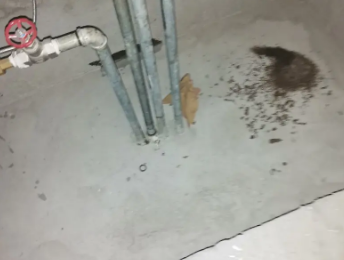 曲沃卫生间测漏水价格明细